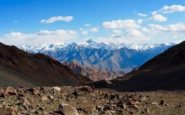 Himalayan Tour of Leh / Laddakh